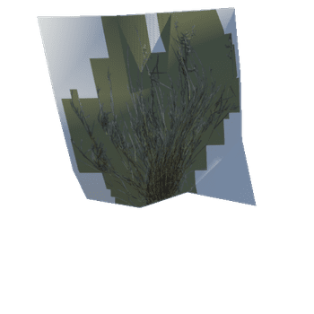 Grass_ (34)